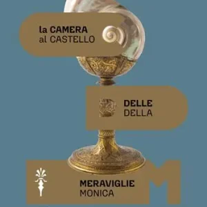 La camera delle meraviglie. Ediz. a colori Promozione