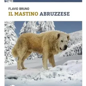 Il mastino abruzzese Spedizione Espresso