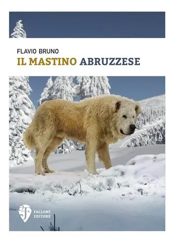 Il mastino abruzzese Spedizione Espresso