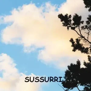 Sussurri Affare
