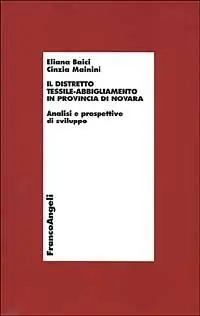 Promozione Il distretto tessile-abbigliamento in provincia di Novara. Analisi e prospettive di sviluppo. Con CD-ROM