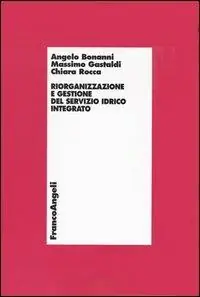 Professionale Riorganizzazione e gestione del servizio idrico integrato