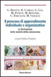 Il processo di apprendimento individuale e organizzativo. La formazione nella società della conoscenza Compra Online