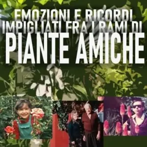 Economico Emozioni e ricordi impigliati fra i rami di piante amiche