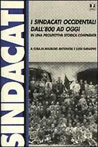 I sindacati occidentali dall‘800 ad oggi in una prospettiva storica comparata Prezzo Di Fabbrica