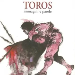 Plaza de Toros Professionale