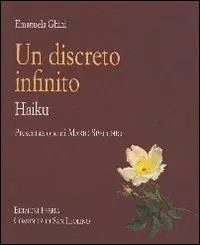 Un discreto infinito. Haiku Occasione Imperdibile