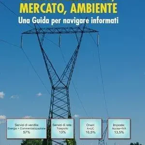 Energia elettrica, mercato, ambiente Acquista Ora
