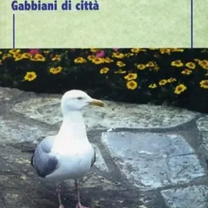 Gabbiani di città Promozione Esclusiva