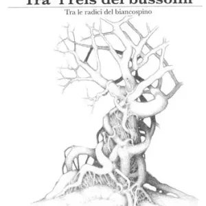 Offerta Lampo Tra ‘l rèis dël bussolin-Tra le radici del biancospino. Seconda raccolta di racconti antichi, di streghe, di masche, di fiabe e di storie arcane del Piemonte