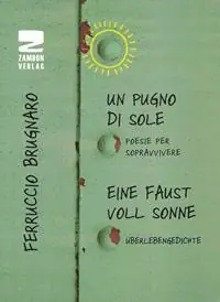 Professionale Un pugno di sole. Poesie per sopravvivere