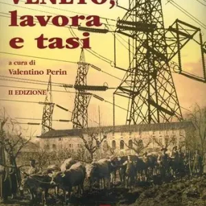 Veneto lavora e tasi Direttamente Dal Produttore