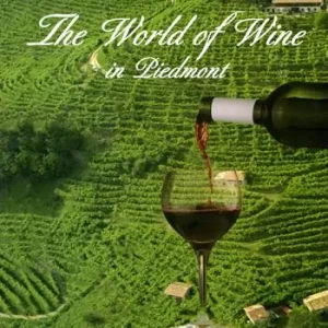 The world of wine in Piedmont A Buon Prezzo