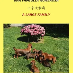 Una famiglia numerosa. Ediz. italiana, cinese e inglese Esclusivo