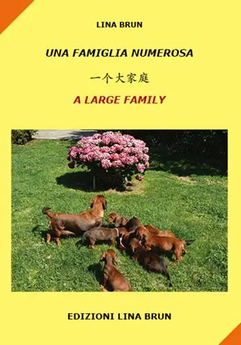 Una famiglia numerosa. Ediz. italiana, cinese e inglese Esclusivo