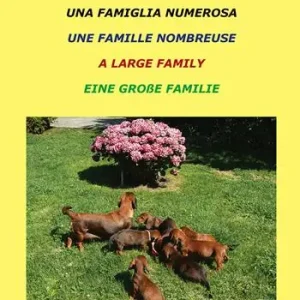 Una famiglia numerosa-Une famille nombreuse-A large family-Eine grabe familie. Ediz. multilingue Offerta