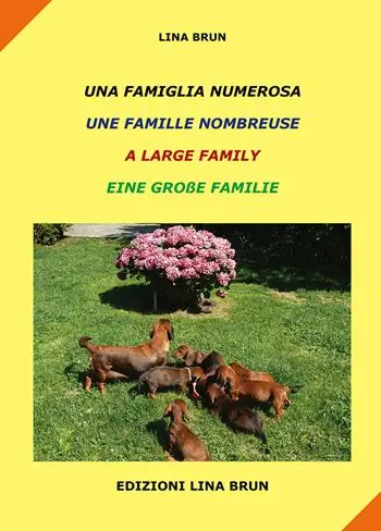 Una famiglia numerosa-Une famille nombreuse-A large family-Eine grabe familie. Ediz. multilingue Offerta