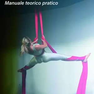 Tessuti aerei. Manuale teorico pratico Miglior Prezzo