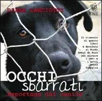 Occhi sbarrati. Reportage dal canile Direttamente Dal Produttore