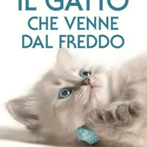 Il gatto che venne dal freddo Prezzo Basso