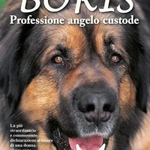 Boris. Professione angelo custode Soddisfatti O Rimborsati