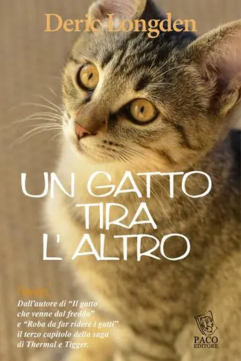 Pagamento Sicuro Un gatto tira l‘altro