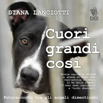 Cuori grandi così. Fotoracconto tra gli angeli dimenticati Economico