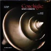 Conchiglie. Un‘arte sommersa. Ediz. illustrata Ultima Occasione