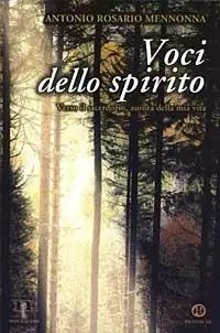 Prezzo Ridotto Voci dello spirito. Verso il sacerdozio, aurora della mia vita