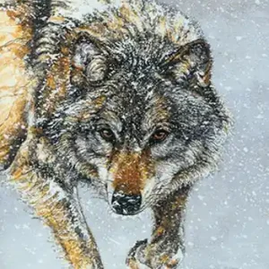 Prezzo Basso L‘anima degli animali