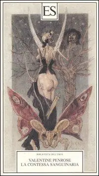 Acquista Ora La contessa sanguinaria