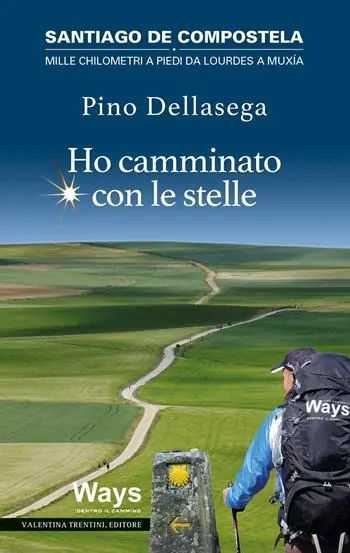 Ho camminato con le stelle. Santiago de Compostela. Mille chilometri a piedi da Lourdes a Muxia Compra Online