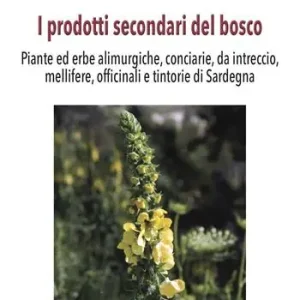 I prodotti secondari del bosco. Piante ed erbe alimurgiche, conciarie, da intreccio, mellifere, officinali e tintorie di Sardegna Compra Oggi Stesso