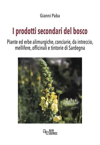 I prodotti secondari del bosco. Piante ed erbe alimurgiche, conciarie, da intreccio, mellifere, officinali e tintorie di Sardegna Compra Oggi Stesso