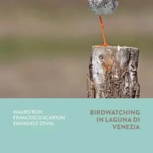 Bestseller Birdwatching in Laguna di Venezia