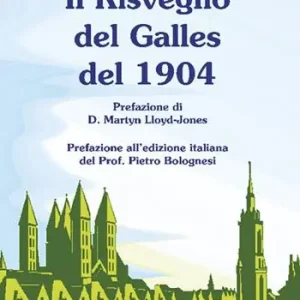 Il risveglio del Galles del 1904 Prezzo Ridotto