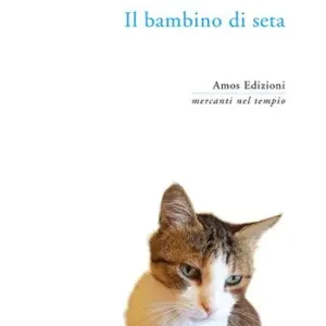 Il bambino di seta Affare
