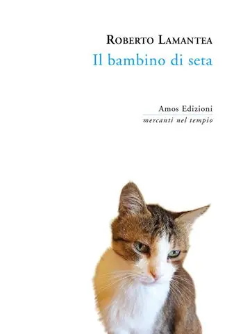 Il bambino di seta Affare