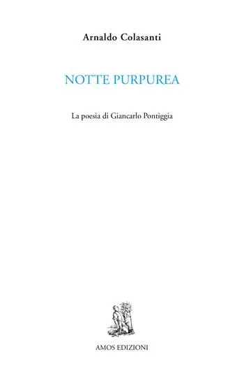 Notte purpurea. La poesia di Giancarlo Pontiggia Prezzo Di Fabbrica