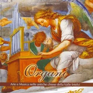 Organi arte e musica nelle antiche chiese della valle Intelvi. Con CD Audio Di Tendenza