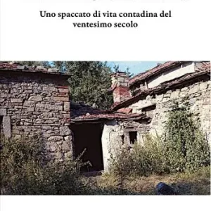 Il bimbo di Fatini. Uno spaccato di vita contadina del ventesimo secolo Più Venduto