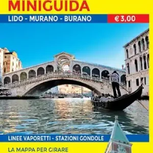 Professionale Venezia in lingua. Minimappa e miniguida. Ediz. italiana