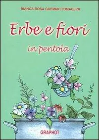 Erbe e fiori in pentola Promozione