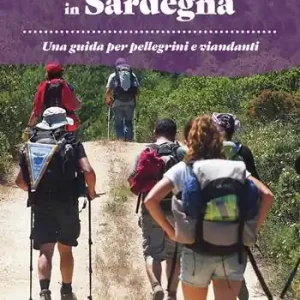 La via dei santuari in Sardegna. Una guida per pellegrini e viandanti Offerta