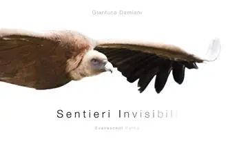 Promozione Esclusiva Sentieri invisibili-Evanescent paths. Ediz. illustrata