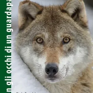 Con gli occhi di un guardaparco. Storie di uomini e animali narrate da guardiaparchi, carabinieri forestali, personaggi storici Prezzo Basso