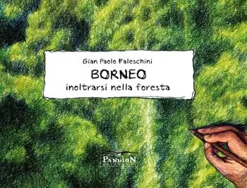 Borneo. Inoltrarsi nella foresta. Ediz. illustrata Non Perdere