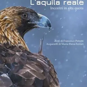 Aquila reale. Incontri in alta quota Super Prezzo