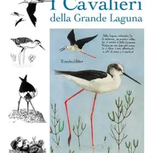 Solo Oggi I cavalieri della grande laguna
