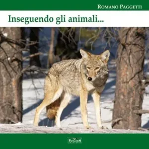 Subito Disponibile Inseguendo gli animali. Ediz. per la scuola
